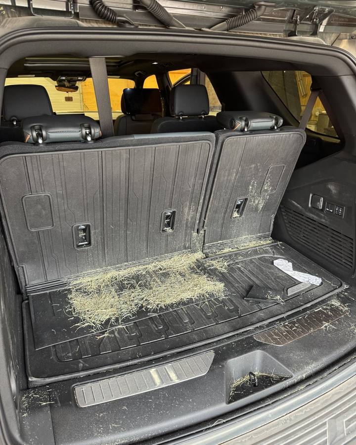 SUV cargo area before